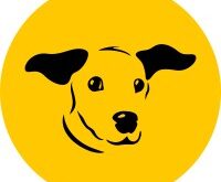 Dogs Trust Jobs